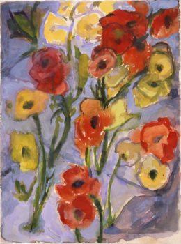 Rote und gelbe Blumen