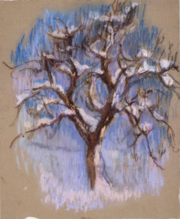 Obstbaumserie schneebedeckt (11)