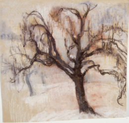 Obstbaumserie im Schnee (12)