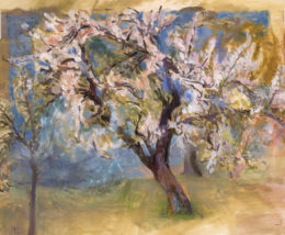 Obstbaumserie im Frühling (15)