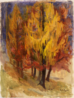 Lärchenbäume in Herbstfärbung