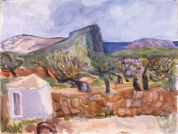 Olivenhain mit Hütte vor Felslandschaft