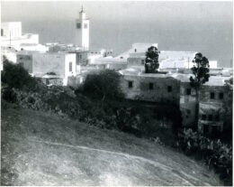 Sidi bou said