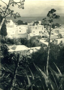 Sidi bou said, ein Künstlerort in Thunesien