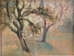 Obstbaumserie 15  im Frühling